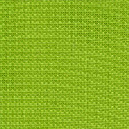 20273 Lemon Lime