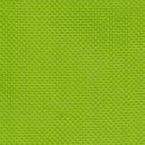 20273 Lemon Lime